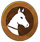 Equestrian / Pony Club